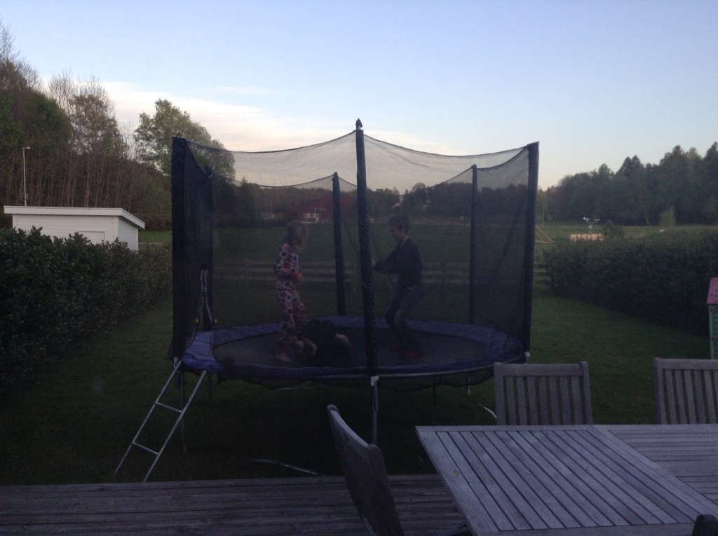 bild (1)